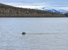 201507191802_IMG_3147