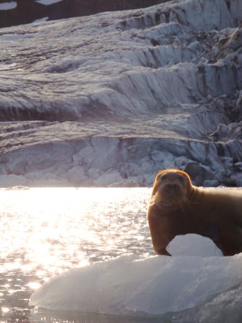 201507191948_DSC08066