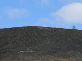 201507201450_IMG_3203