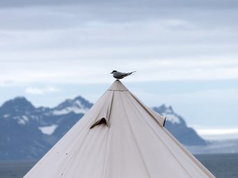 201507221230_IMG_3225