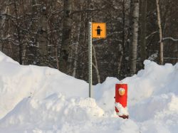 201701131528_IMG_3786_2