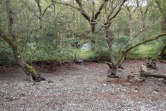 P6280040-e1502218935532